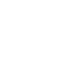 Hiscox - Logo